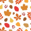 Seamless pattern autumn leaves vector illustration